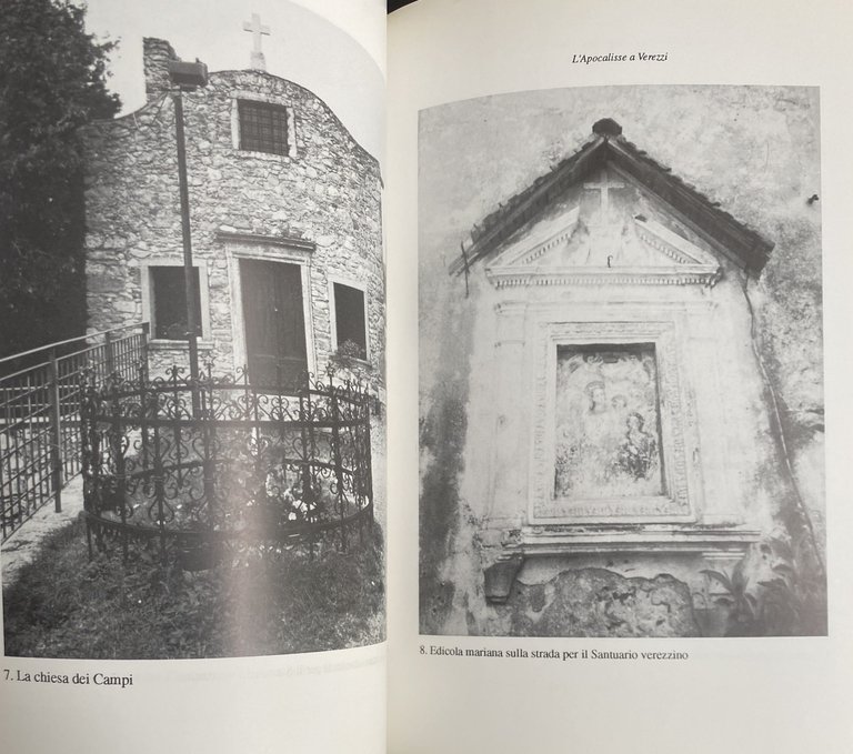 L'APOCALISSE A VEREZZI. LE APPARIZIONI MARIANE, I MESSAGGI, I VEGGENTI … | Immagine Gallery 18