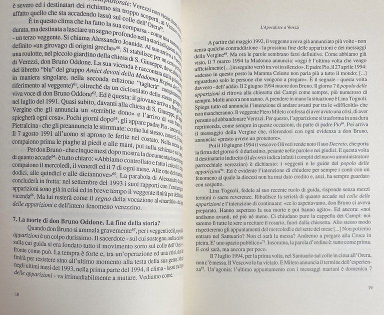 L'APOCALISSE A VEREZZI. LE APPARIZIONI MARIANE, I MESSAGGI, I VEGGENTI … | Immagine Gallery 14