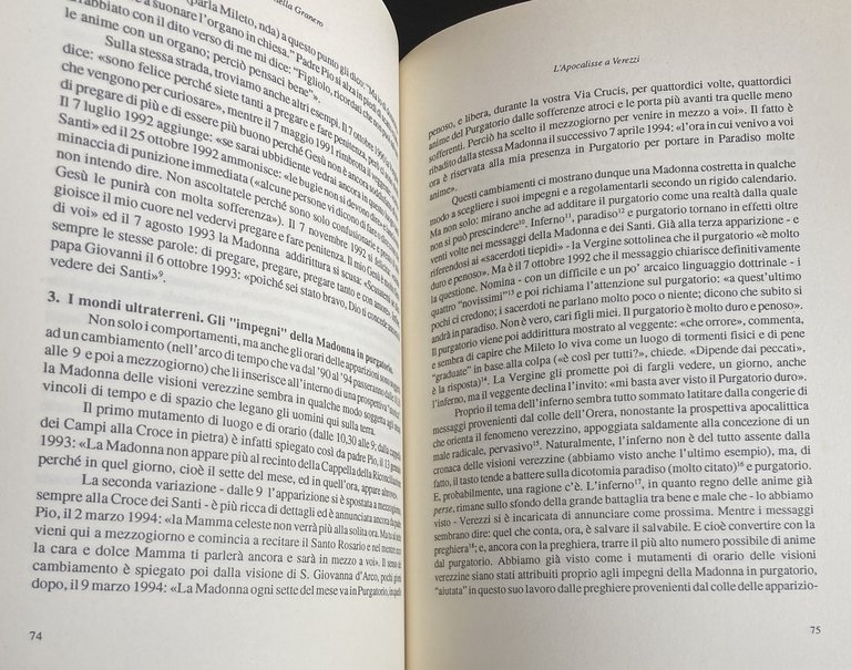 L'APOCALISSE A VEREZZI. LE APPARIZIONI MARIANE, I MESSAGGI, I VEGGENTI … | Immagine Gallery 16
