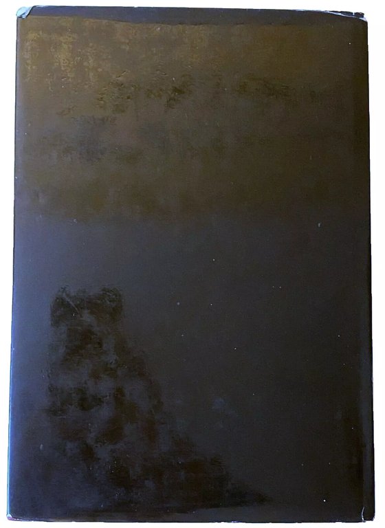 L'ARTE DEL RINASCIMENTO (51 illustrazioni a colori, 200 illustrazioni in …