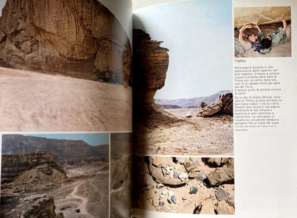 L'ARTE RUPESTRE DEL NEGEV E DEL SINAI