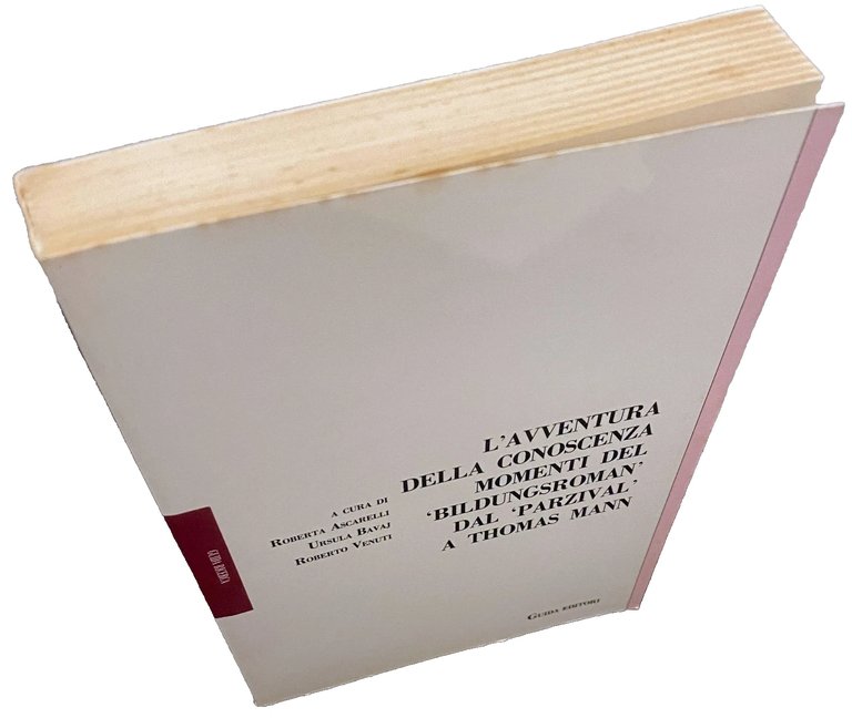 L'AVVENTURA DELLA CONOSCENZA. MOMENTI DEL BILDUNGSROMAN DAL PARZIVAL A THOMAS …