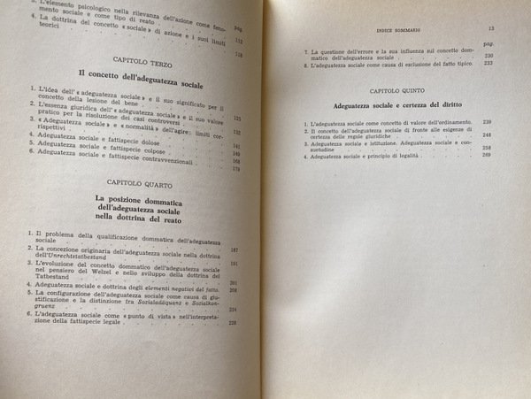 L'AZIONE SOCIALMENTE ADEGUATA NEL DIRITTO PENALE