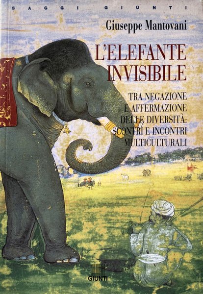 L'ELEFANTE INVISIBILE. TRA NEGAZIONE E AFFERMAZIONE DELLE DIVERSITÀ SCONTRI E …