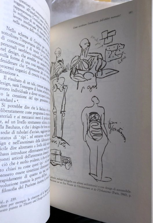 L'EVOLUZIONE DEL DESIGN. L'ANALISI BIOLOGICA IN ARCHITETTURA E NELLE ARTI … | Immagine Gallery 5