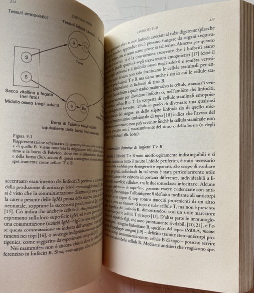 L'EVOLUZIONE DEL PENSIERO IMMUNOLOGICO. A CURA DI GILBERTO CORBELLINI