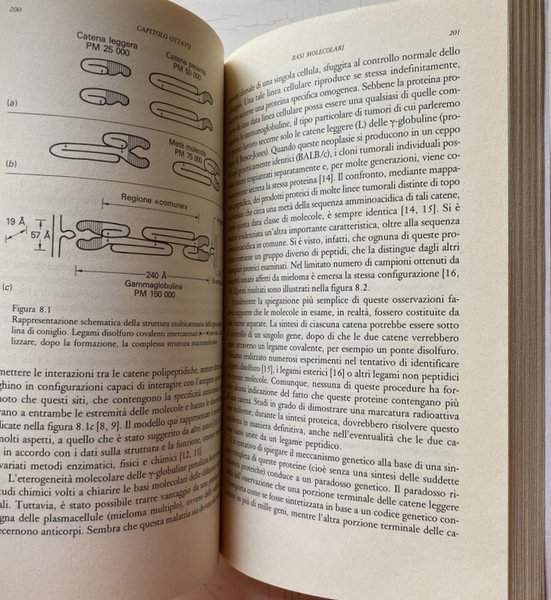 L'EVOLUZIONE DEL PENSIERO IMMUNOLOGICO. A CURA DI GILBERTO CORBELLINI