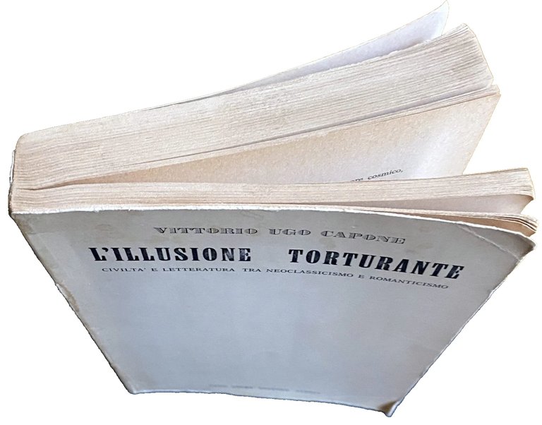 L'ILLUSIONE TORTURANTE. CIVILTÀ E LETTERATURA TRA NEOCLASSICISMO E ROMANTICISMO