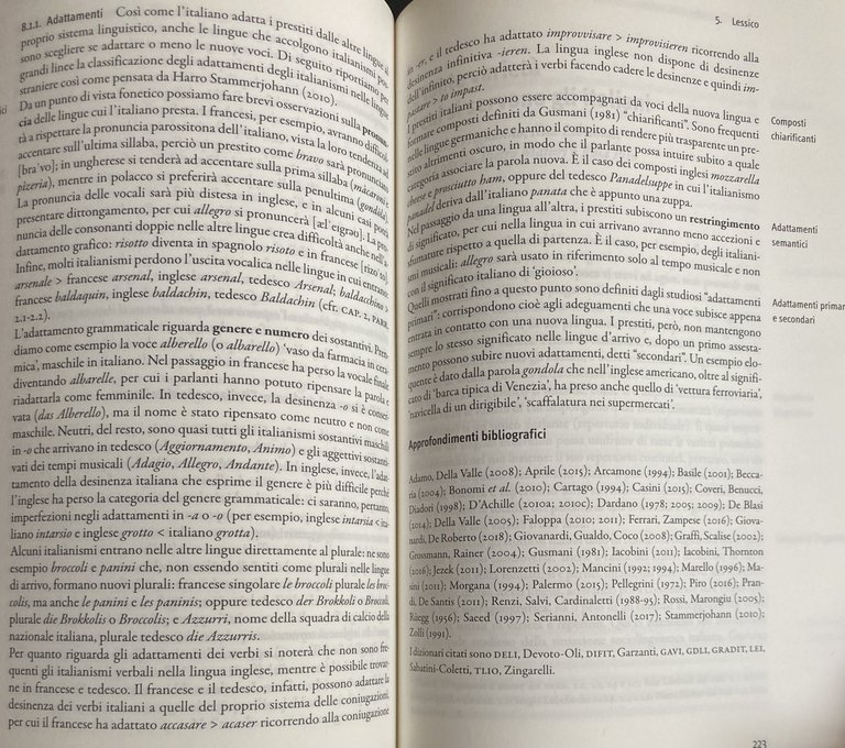 L'ITALIANO: STRUTTURE, USI, VARIETÀ (Manuali universitari) | Immagine Gallery 14