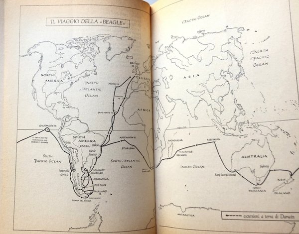 L'ORIGINE. IL ROMANZO DI CHARLES DARWIN