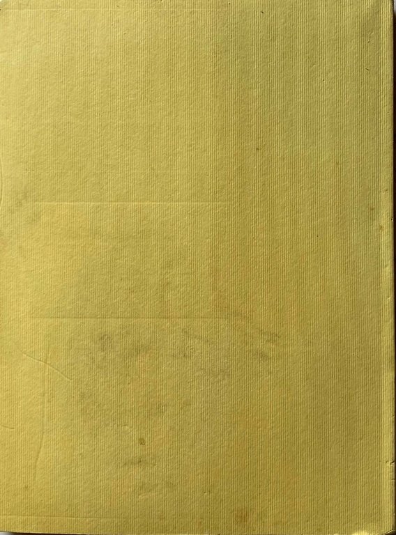L'UNICO GIORNALISTA. STAMPA E COMUNICAZIONE IN MAX STIRNER