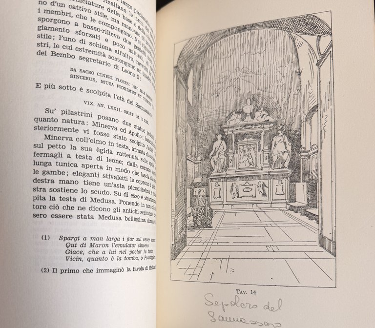 LA COLLINA DI POSILLIPO. Con 42 DISEGNI di ACHILLE GIGANTE | Immagine Gallery 9