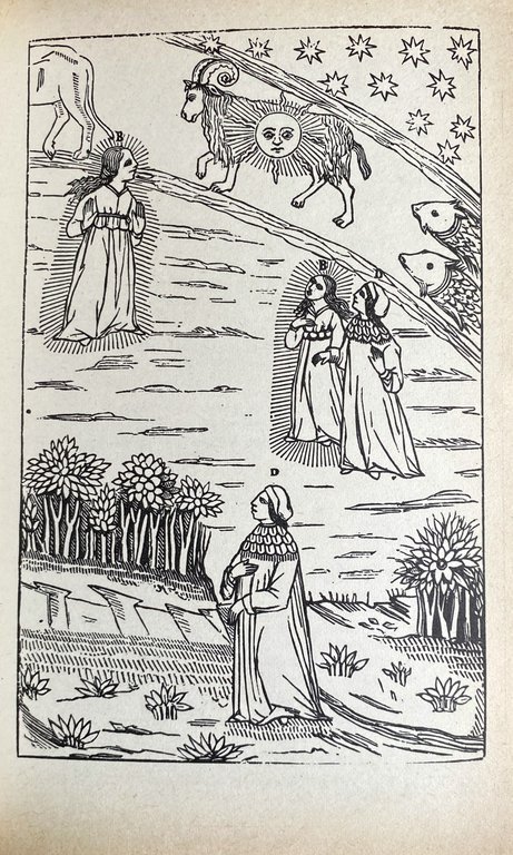 LA DIVINA COMMEDIA: PARADISO. A CURA DI CARLO SALINARI SERGIO …