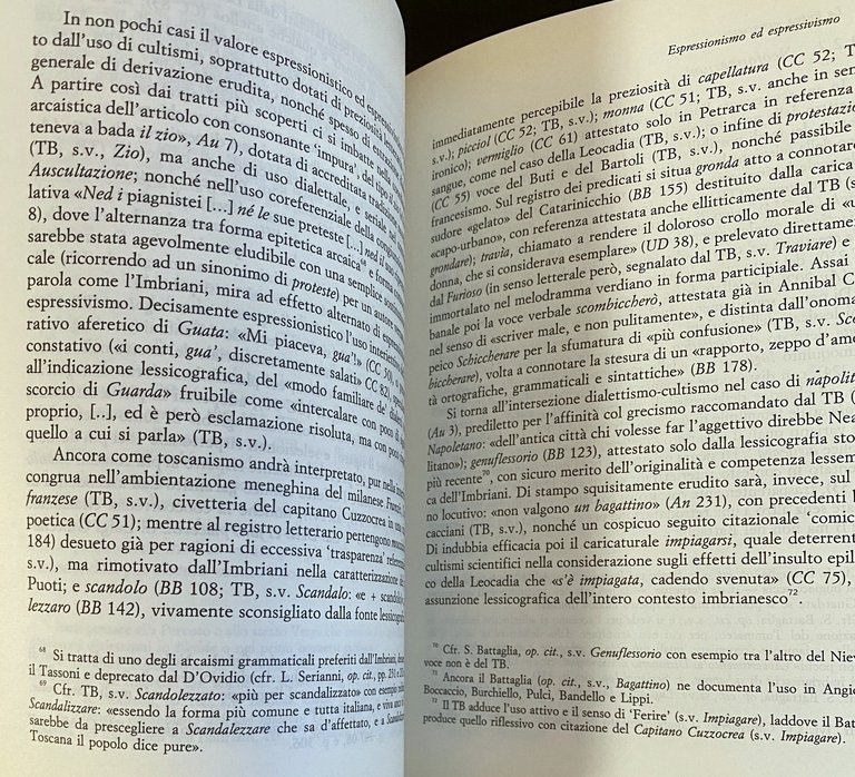 LA LINGUA «SCONCIATA». ESPRESSIONISMO ED ESPRESSIVISMO IN VITTORIO IMBRIANI | Immagine Gallery 14