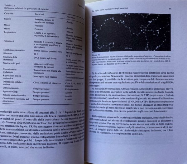 LA LOGICA DEI SISTEMI DI REGOLAZIONE BIOLOGICA