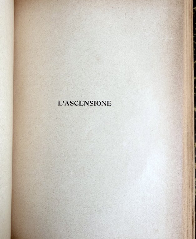 LA MADONNA E I SANTI (NELLA FEDE E NELLA VITA) | Immagine Gallery 18