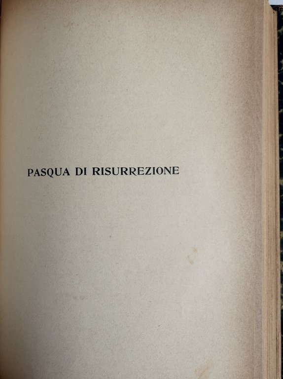 LA MADONNA E I SANTI (NELLA FEDE E NELLA VITA) | Immagine Gallery 19