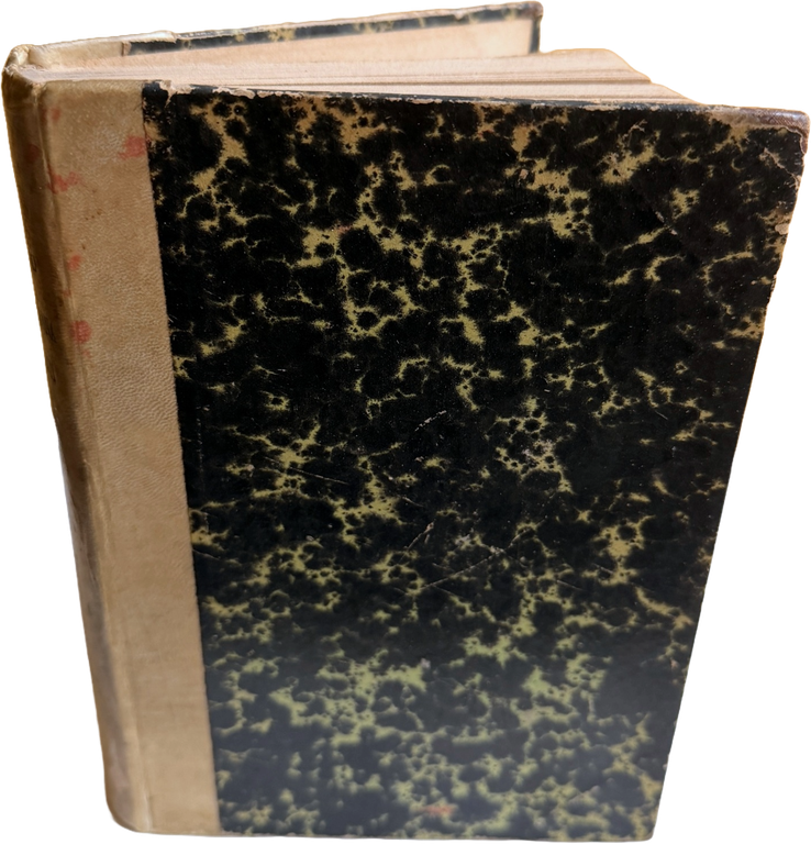 LA MADONNA E I SANTI (NELLA FEDE E NELLA VITA) | Immagine Gallery 4