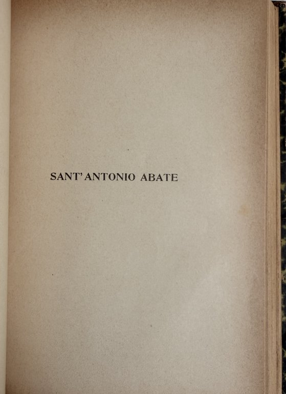 LA MADONNA E I SANTI (NELLA FEDE E NELLA VITA) | Immagine Gallery 12