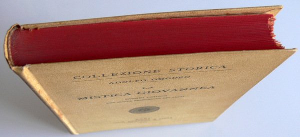 LA MISTICA GIOVANNEA: SAGGIO CRITICO CON NUOVA TRADUZIONE DEI TESTI