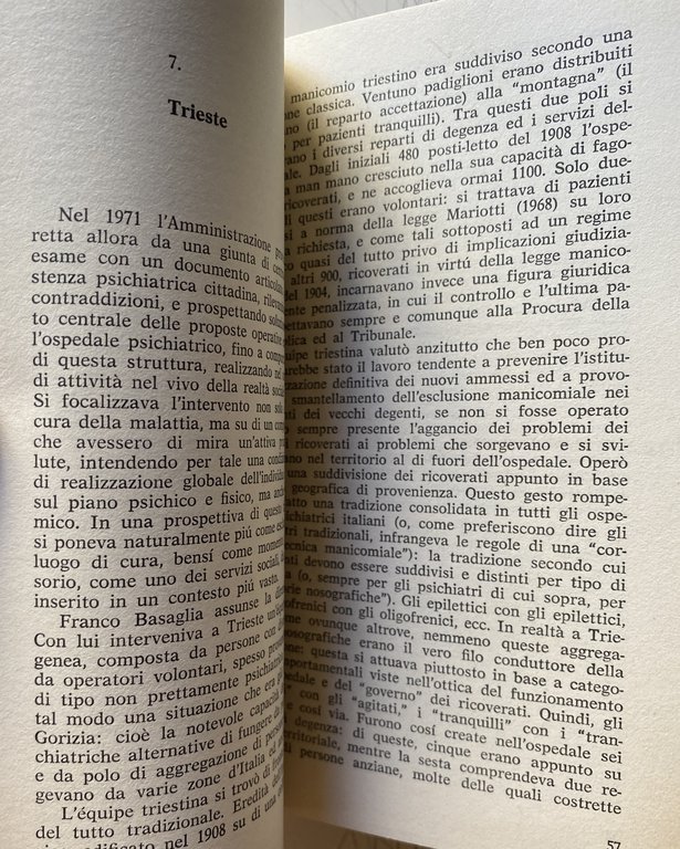 LA NUOVA PSICHIATRIA IN ITALIA. ESPERIENZE E PROSPETTIVE
