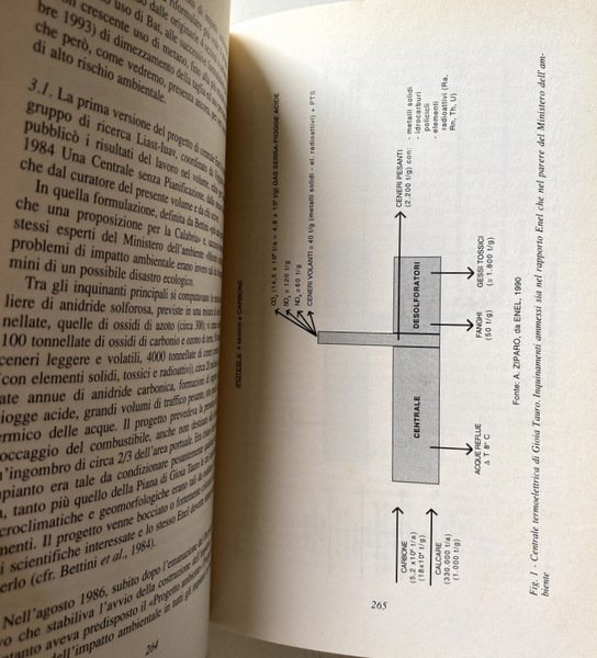 LA PIANIFICAZIONE NELLE AREE AD ALTO RISCHIO AMBIENTALE. A CURA …