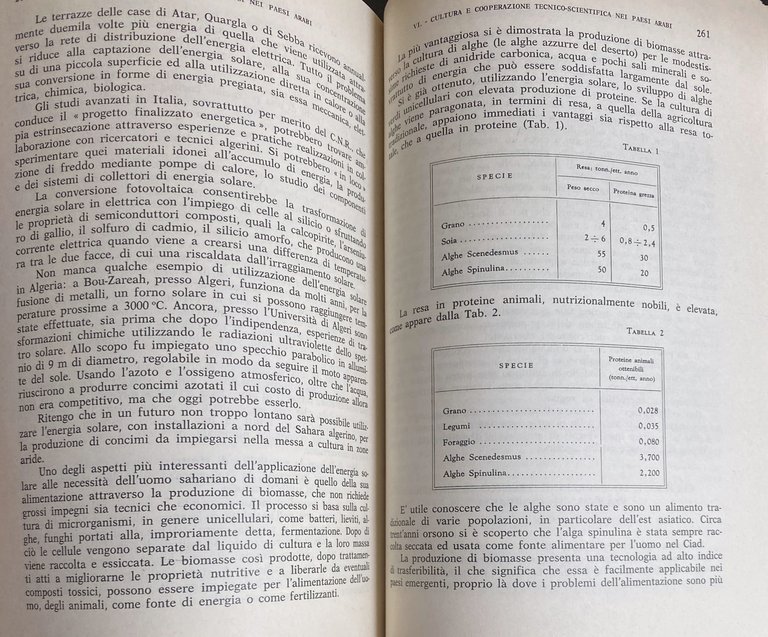 LA PRESENZA CULTURALE ITALIANA NEI PAESI ARABI: STORIA E PROSPETTIVE. …