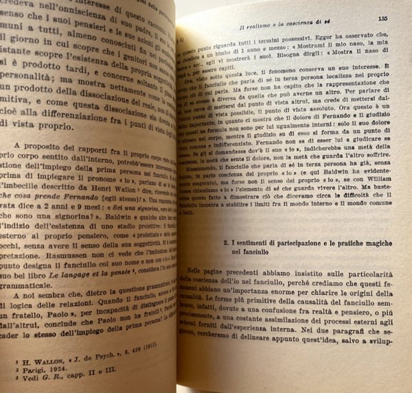 LA RAPPRESENTAZIONE DEL MONDO NEL FANCIULLO