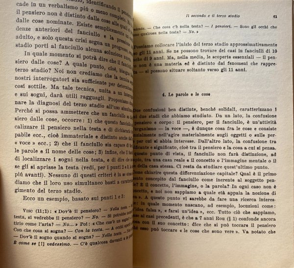 LA RAPPRESENTAZIONE DEL MONDO NEL FANCIULLO