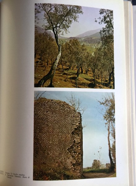 LA REGIONE CAMPANIA: STORIA ED ARTE