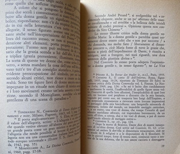 LA VERGINE MADRE NELLA DIVINA COMMEDIA