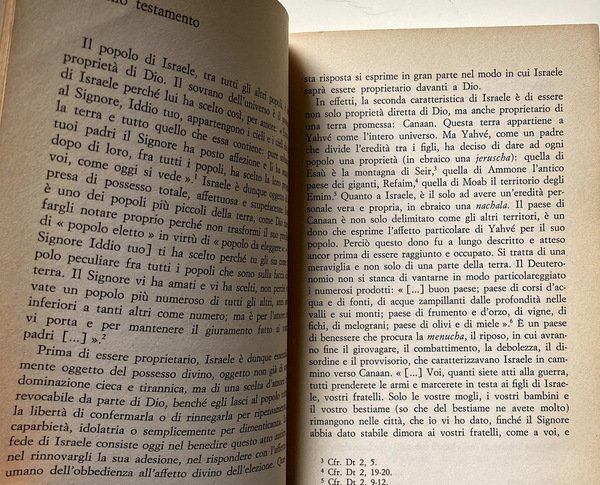 LE CHIESE NELLA SOCIETÀ INDUSTRIALE: PROSPETTIVA E PROFEZIA