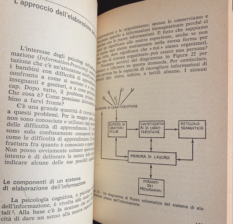 LE DIFFICOLTÀ DI APPRENDIMENTO | Immagine Gallery 12
