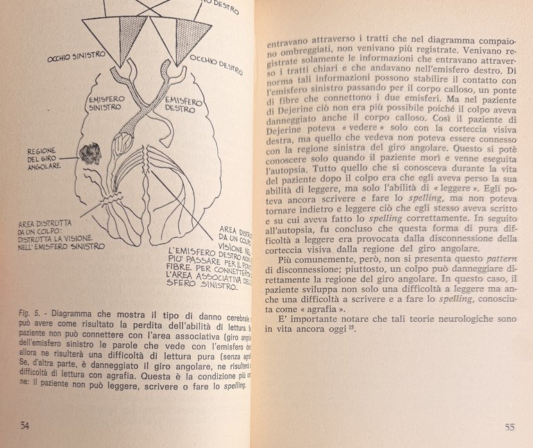 LE DIFFICOLTÀ DI APPRENDIMENTO | Immagine Gallery 16