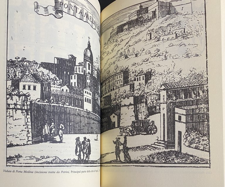 LE GRANDI FAMIGLIE DI NAPOLI. LE VICENDE, GLI ANEDDOTI, LE …