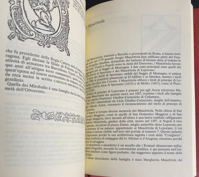 LE GRANDI FAMIGLIE DI NAPOLI. LE VICENDE, GLI ANEDDOTI, LE …