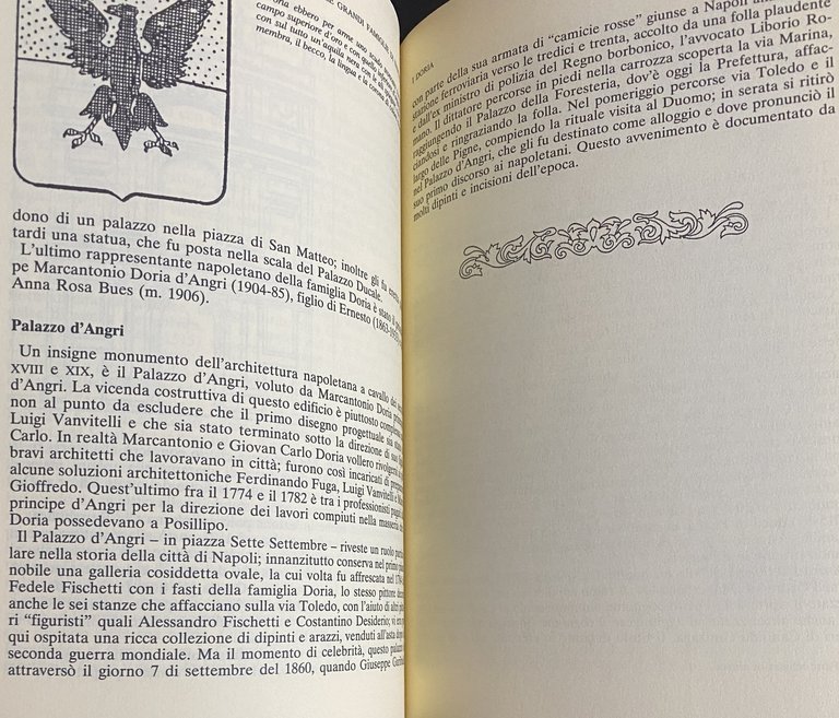 LE GRANDI FAMIGLIE DI NAPOLI. LE VICENDE, GLI ANEDDOTI, LE …