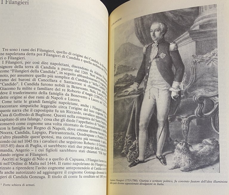 LE GRANDI FAMIGLIE DI NAPOLI. LE VICENDE, GLI ANEDDOTI, LE …