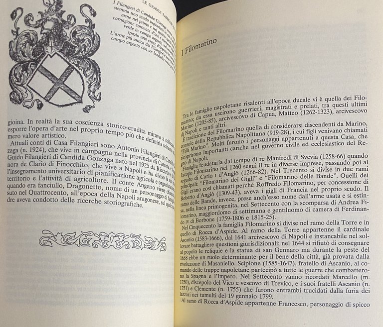 LE GRANDI FAMIGLIE DI NAPOLI. LE VICENDE, GLI ANEDDOTI, LE …