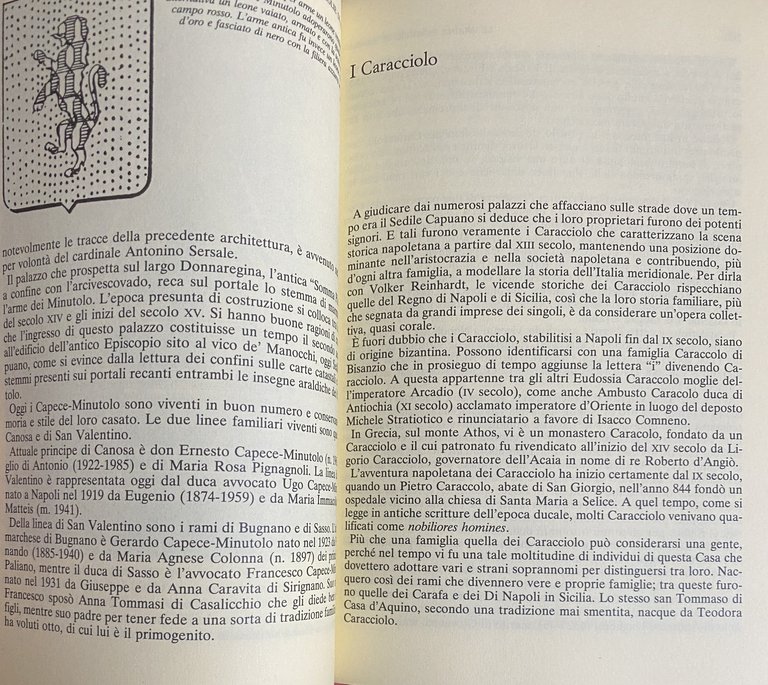 LE GRANDI FAMIGLIE DI NAPOLI. LE VICENDE, GLI ANEDDOTI, LE …