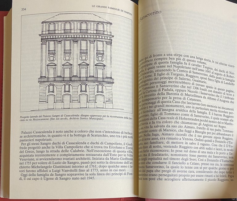 LE GRANDI FAMIGLIE DI NAPOLI. LE VICENDE, GLI ANEDDOTI, LE …