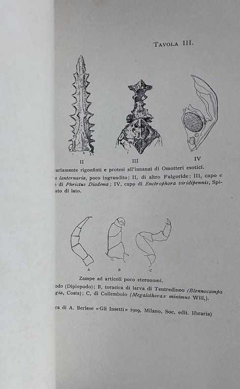 LE ORIGINI DEL GENIO: CHE COS'E IL GENIO. CON CINQUE …