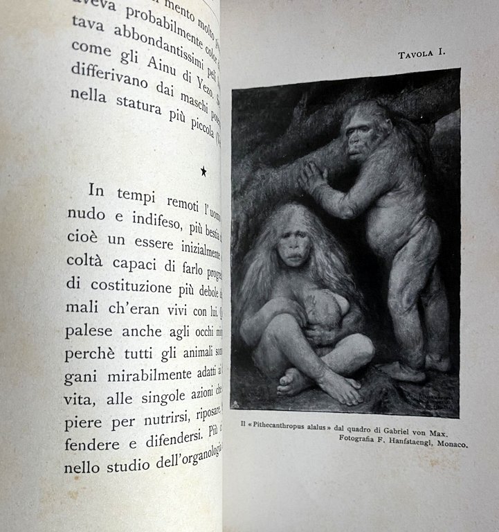 LE ORIGINI DEL GENIO: CHE COS'E IL GENIO. CON CINQUE …