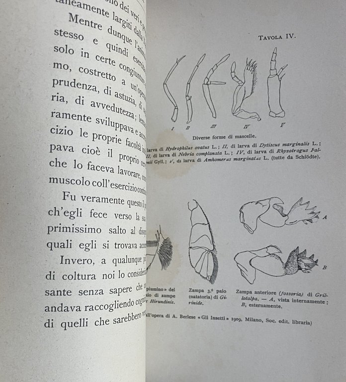 LE ORIGINI DEL GENIO: CHE COS'E IL GENIO. CON CINQUE …