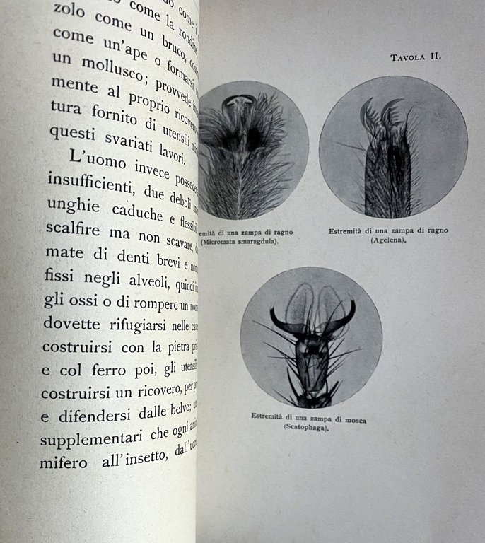 LE ORIGINI DEL GENIO: CHE COS'E IL GENIO. CON CINQUE …
