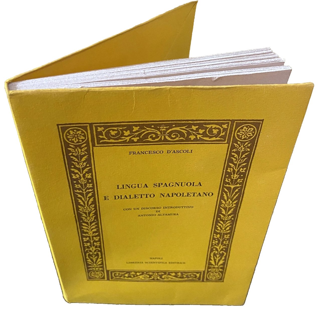 LINGUA SPAGNUOLA E DIALETTO NAPOLETANO. CON UN DISCORSO INTRODUTTIVO DI …
