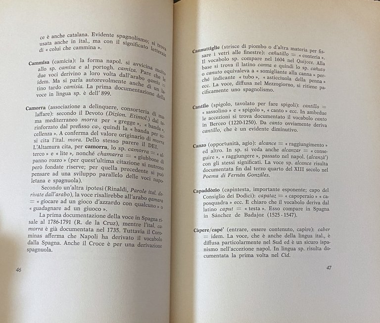 LINGUA SPAGNUOLA E DIALETTO NAPOLETANO. CON UN DISCORSO INTRODUTTIVO DI …