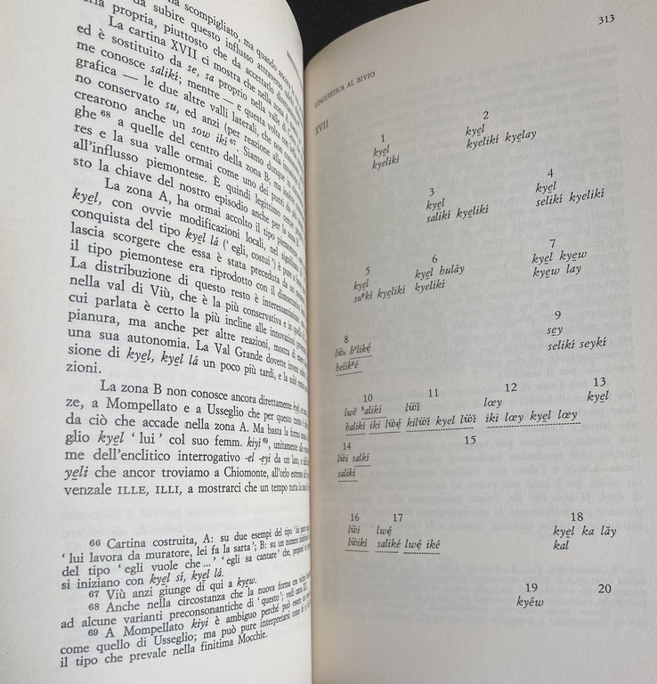 LINGUISTICA AL BIVIO. RACCOLTA DI SAGGI.