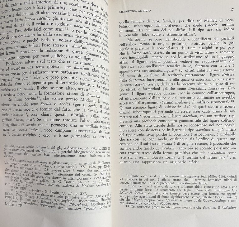 LINGUISTICA AL BIVIO. RACCOLTA DI SAGGI.