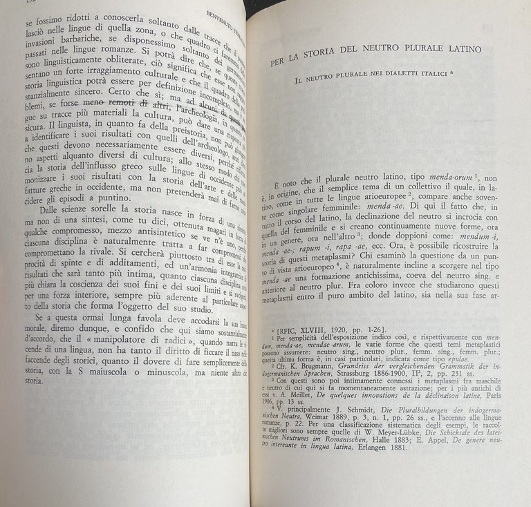 LINGUISTICA AL BIVIO. RACCOLTA DI SAGGI.